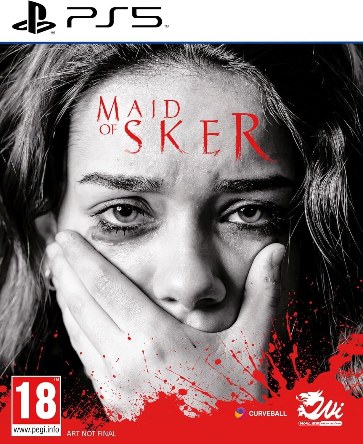 Maid of Sker (Új)